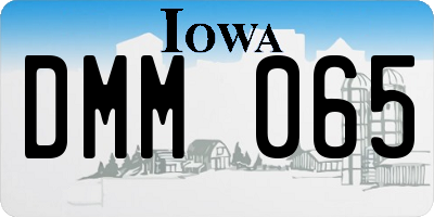 IA license plate DMM065