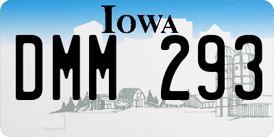 IA license plate DMM293