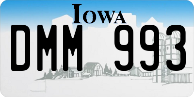 IA license plate DMM993