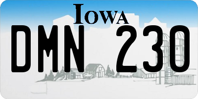 IA license plate DMN230