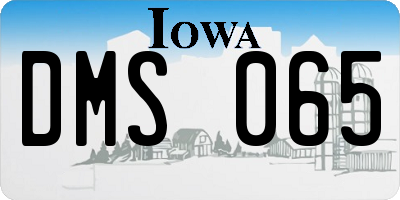 IA license plate DMS065