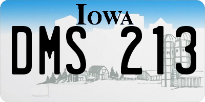 IA license plate DMS213