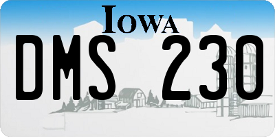 IA license plate DMS230
