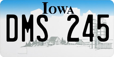 IA license plate DMS245