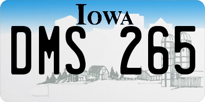 IA license plate DMS265