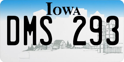 IA license plate DMS293