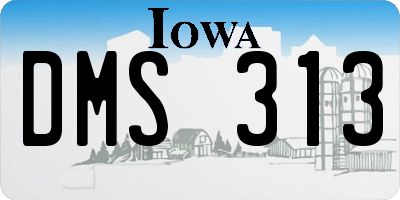 IA license plate DMS313