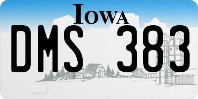 IA license plate DMS383
