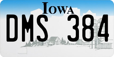 IA license plate DMS384