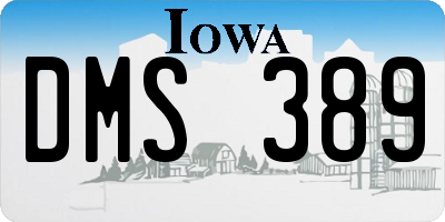 IA license plate DMS389