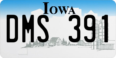 IA license plate DMS391