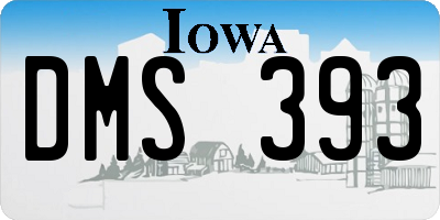 IA license plate DMS393
