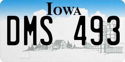 IA license plate DMS493