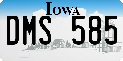 IA license plate DMS585