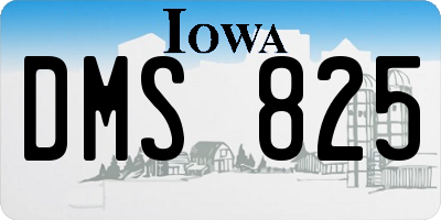 IA license plate DMS825