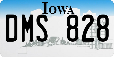IA license plate DMS828