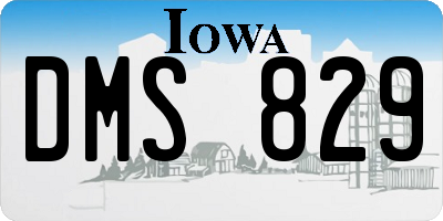 IA license plate DMS829