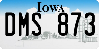 IA license plate DMS873