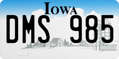 IA license plate DMS985