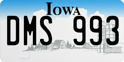 IA license plate DMS993