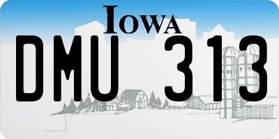 IA license plate DMU313