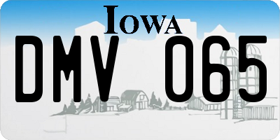 IA license plate DMV065