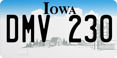 IA license plate DMV230