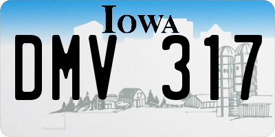 IA license plate DMV317