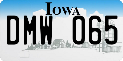 IA license plate DMW065