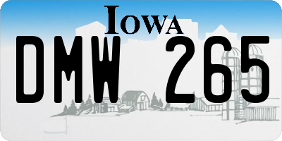 IA license plate DMW265