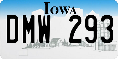 IA license plate DMW293