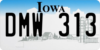 IA license plate DMW313