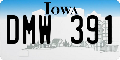 IA license plate DMW391