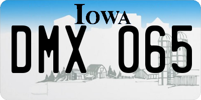 IA license plate DMX065