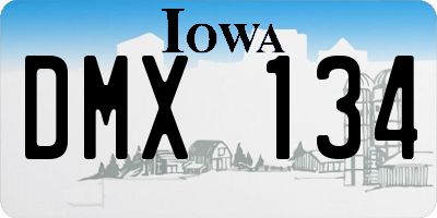 IA license plate DMX134
