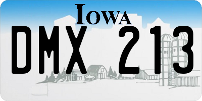 IA license plate DMX213