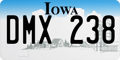IA license plate DMX238