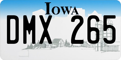 IA license plate DMX265