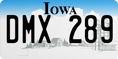 IA license plate DMX289