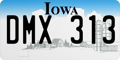 IA license plate DMX313