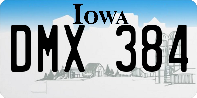 IA license plate DMX384