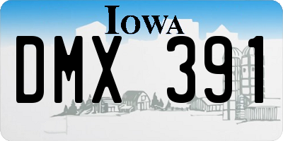 IA license plate DMX391