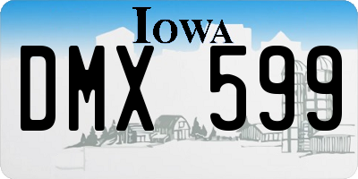 IA license plate DMX599