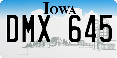 IA license plate DMX645