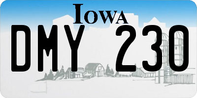 IA license plate DMY230