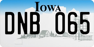 IA license plate DNB065