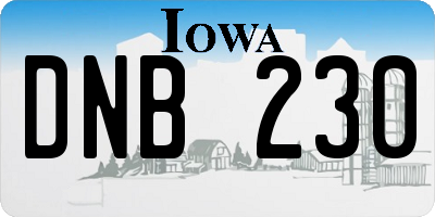 IA license plate DNB230