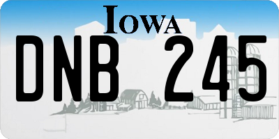 IA license plate DNB245