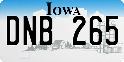 IA license plate DNB265