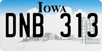 IA license plate DNB313